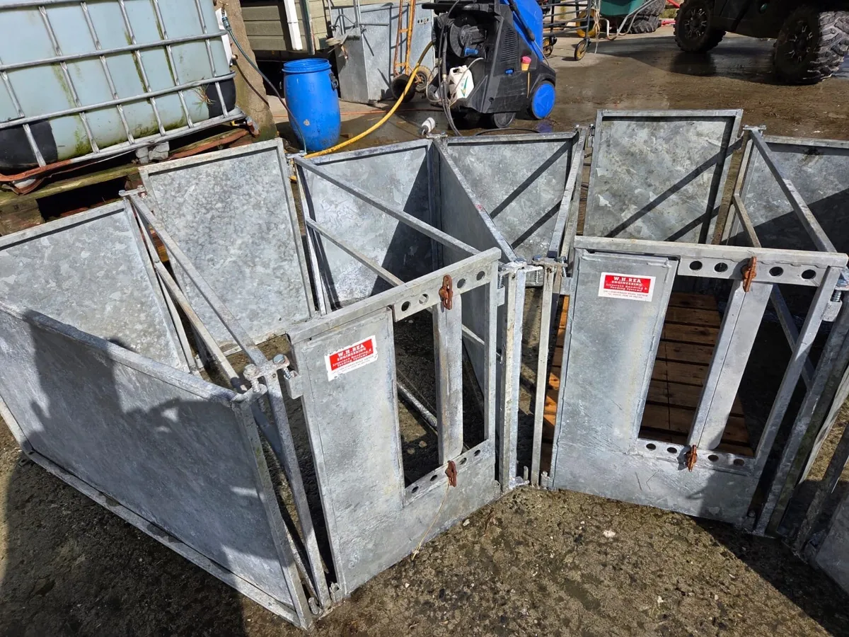 Foster create - Image 2