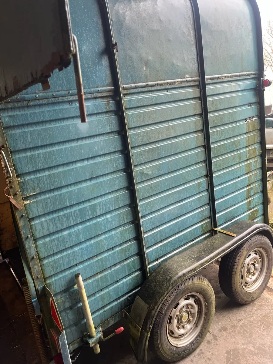 Horse trailer - Image 4