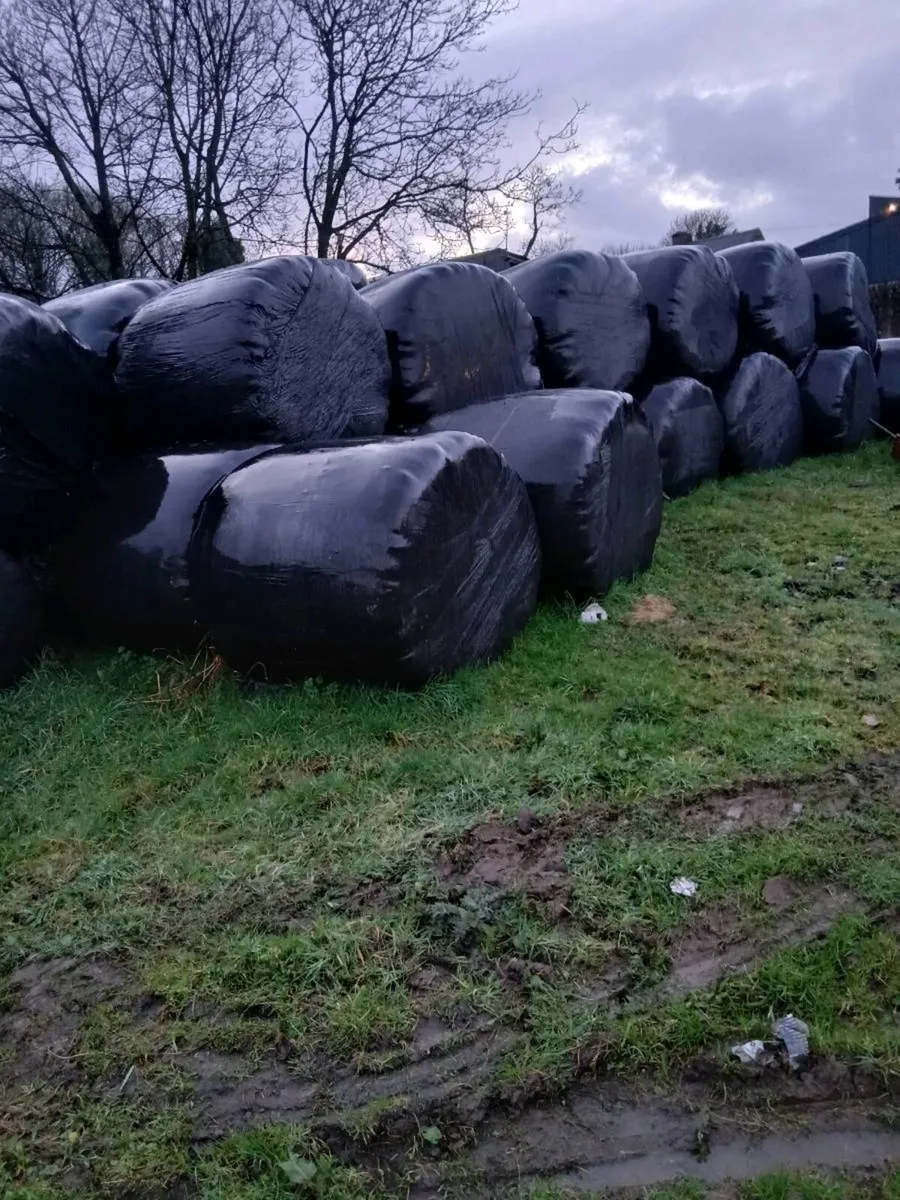Silage bales