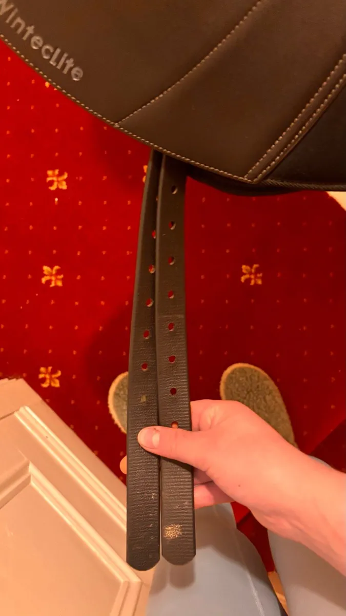 Wintec saddle - Image 3