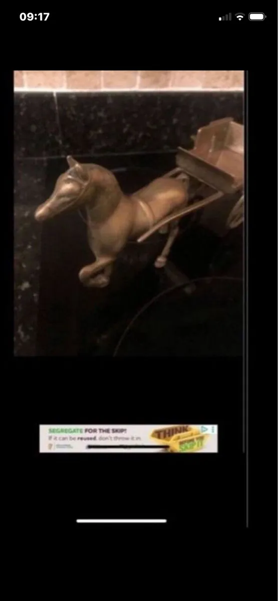 Rasa pony & Trap - Image 4