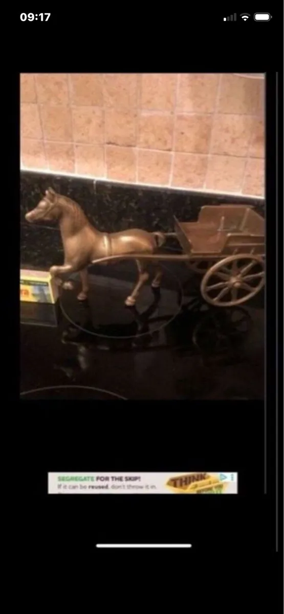 Rasa pony & Trap - Image 1