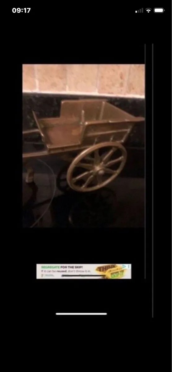 Rasa pony & Trap - Image 2