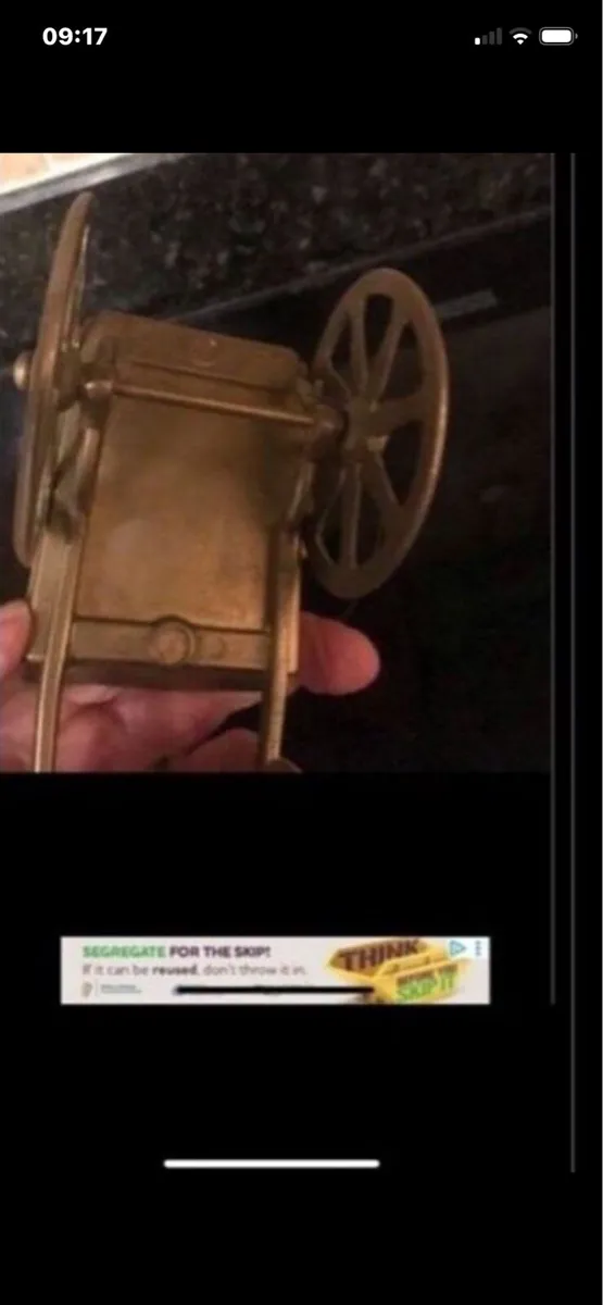 Rasa pony & Trap - Image 3