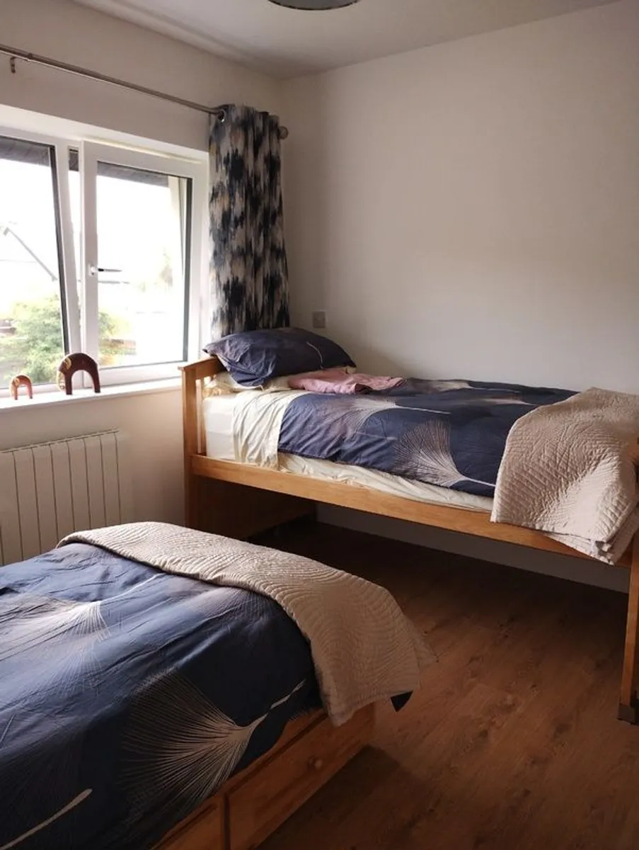 Marcel guest bed (converts to 2 singles) - Image 1