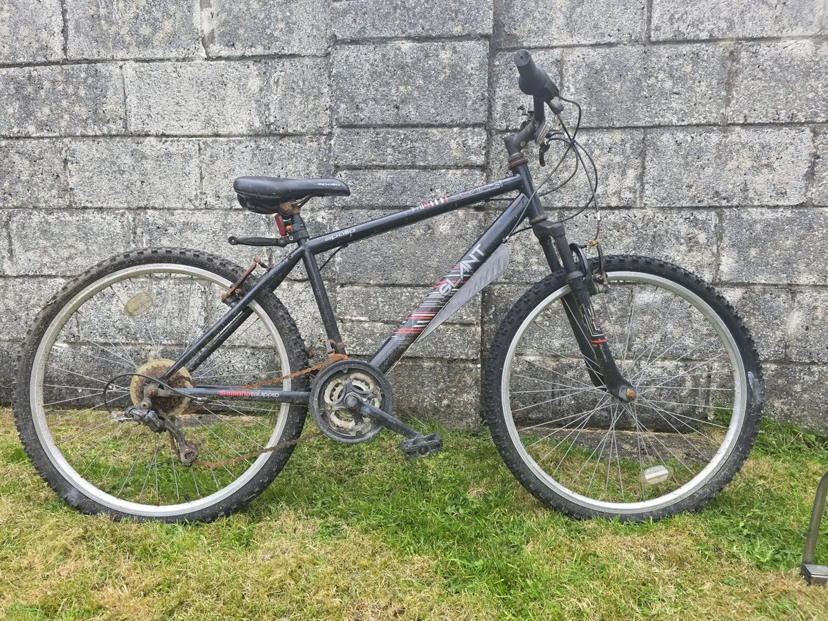 Two bikes for sale - Image 4