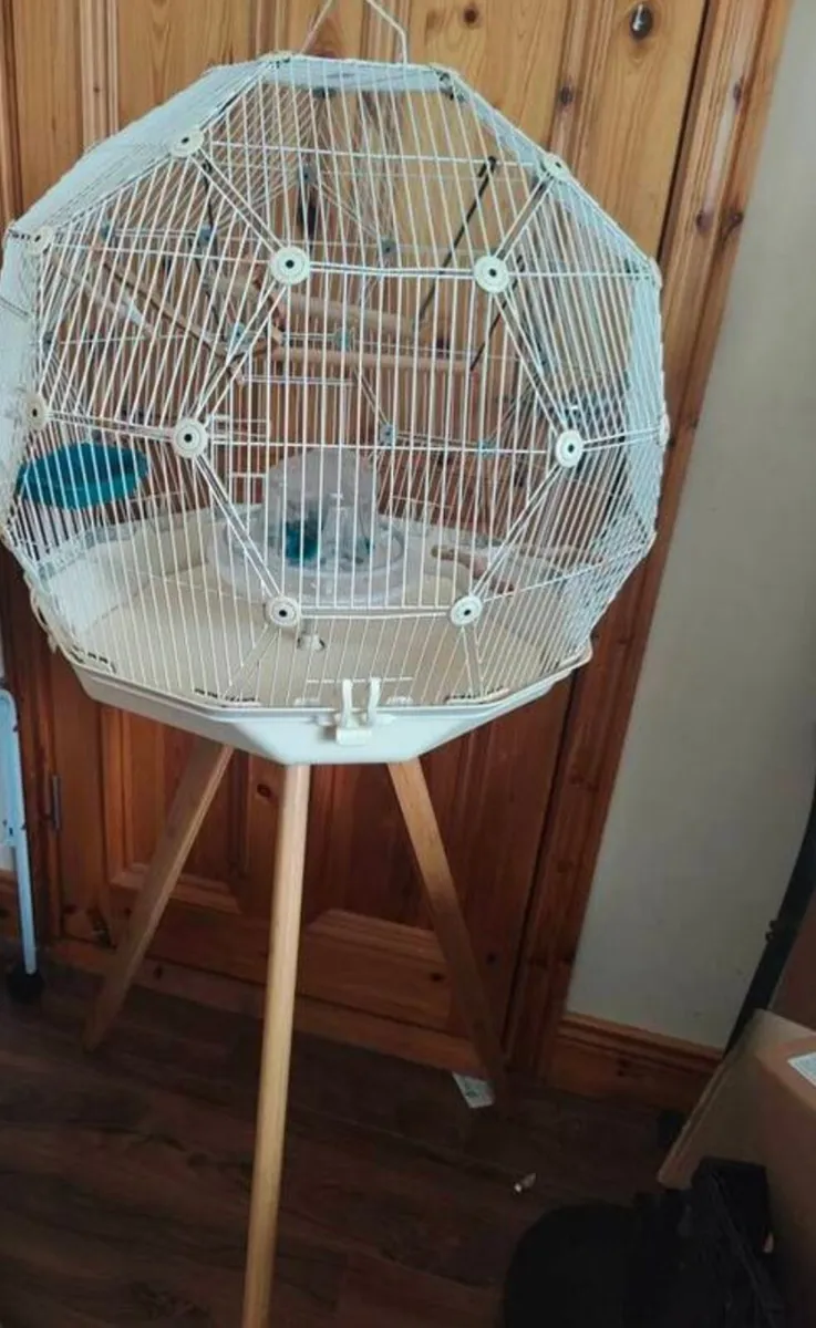 Budgies, cages and hand rearing feeding equipment - Image 4