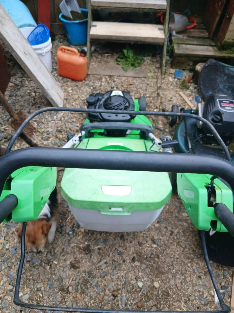 Mowers - Image 1