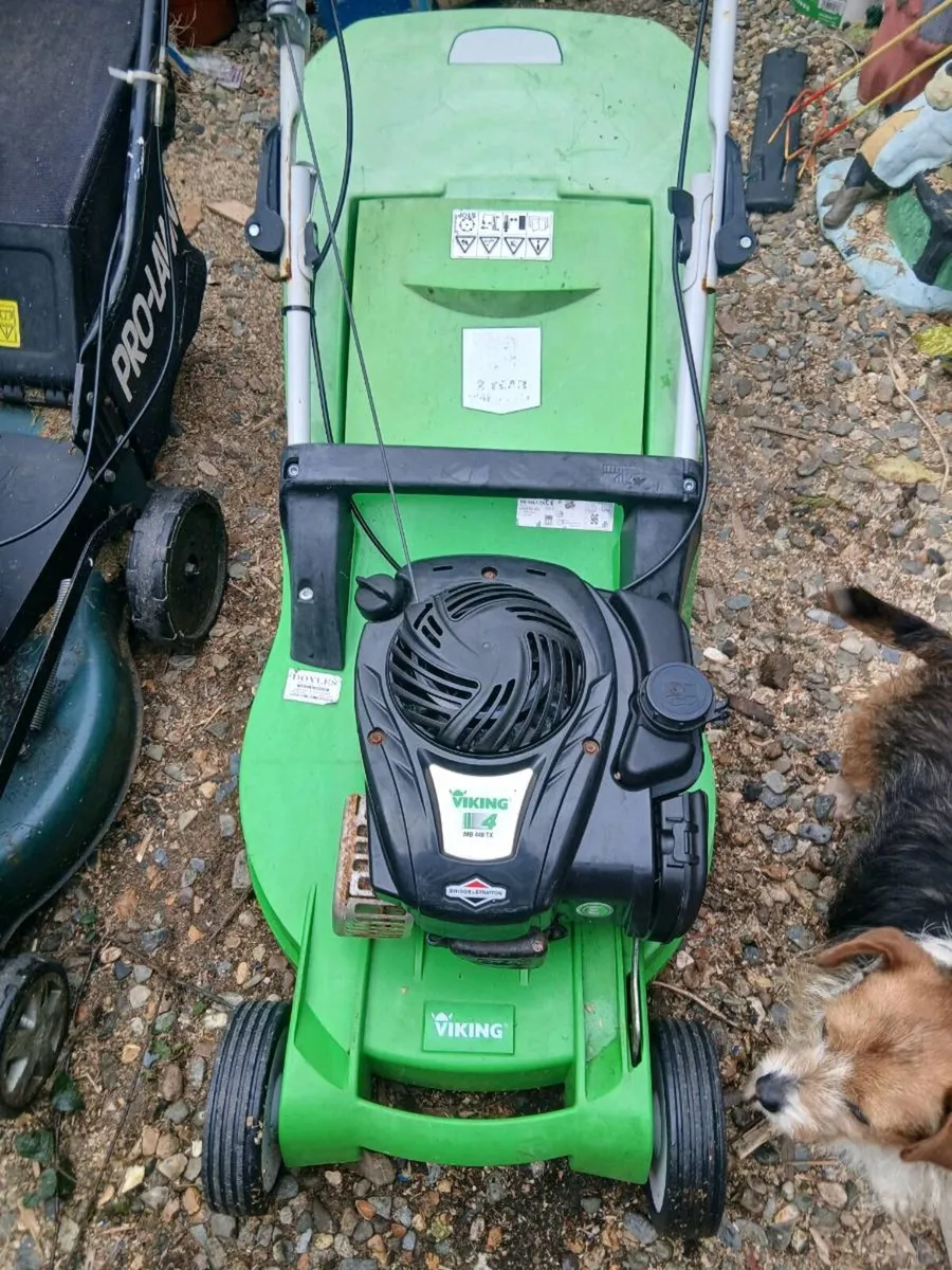 Mowers - Image 2