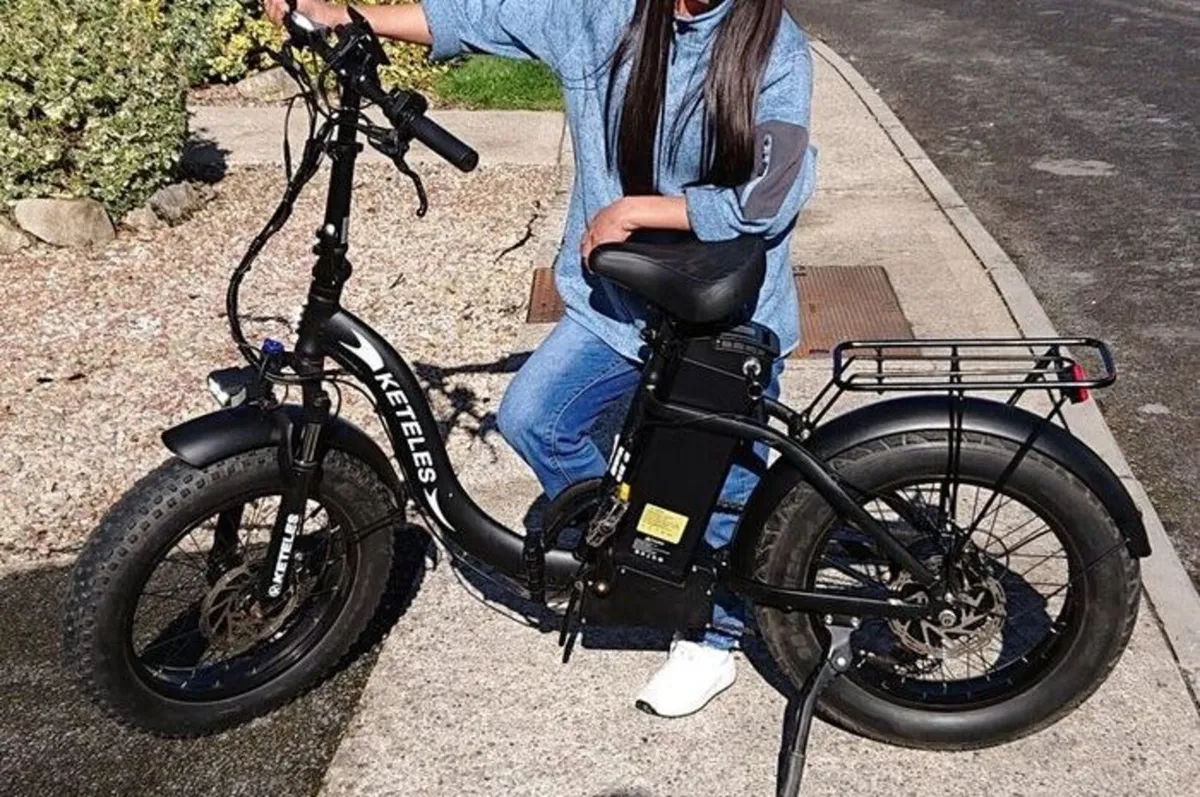 ebike 48V35AH - Image 3