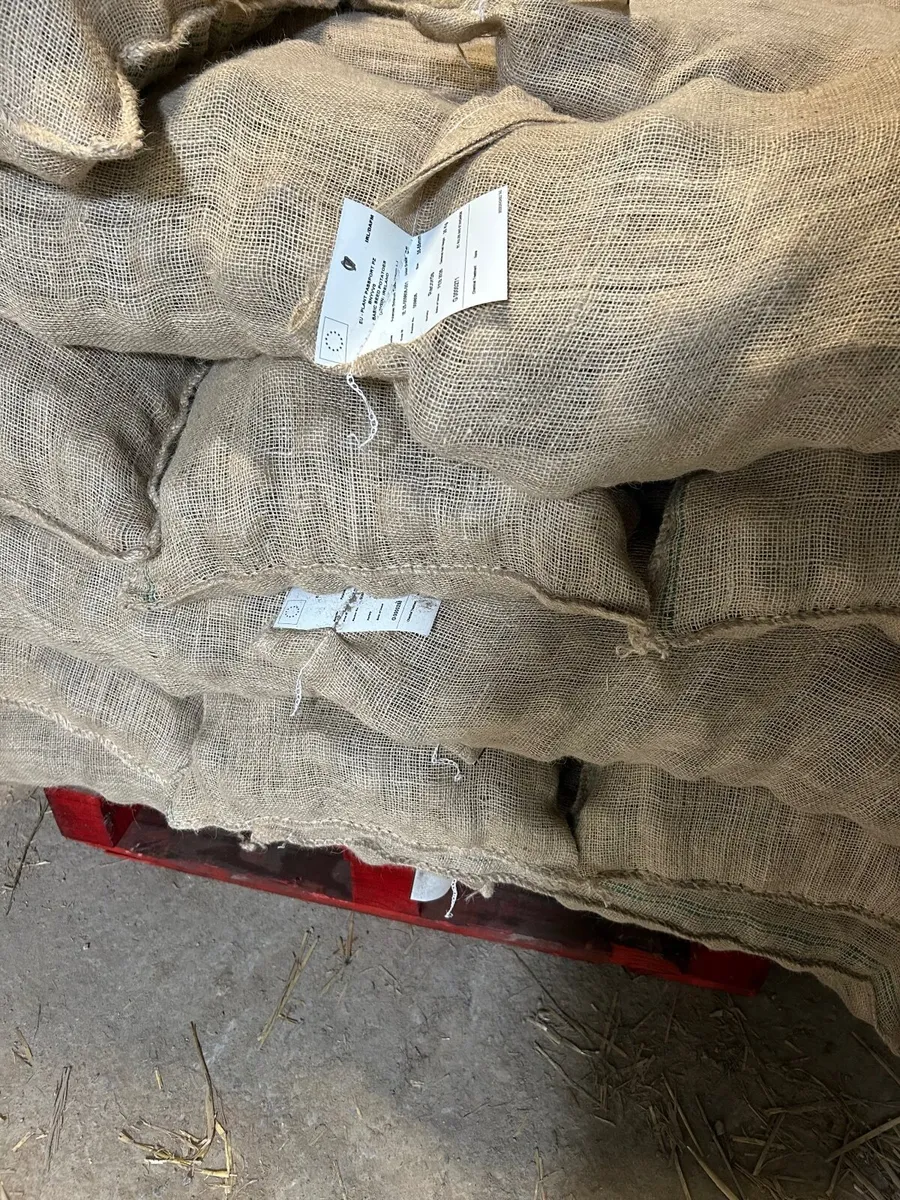 Certified seed potatoes