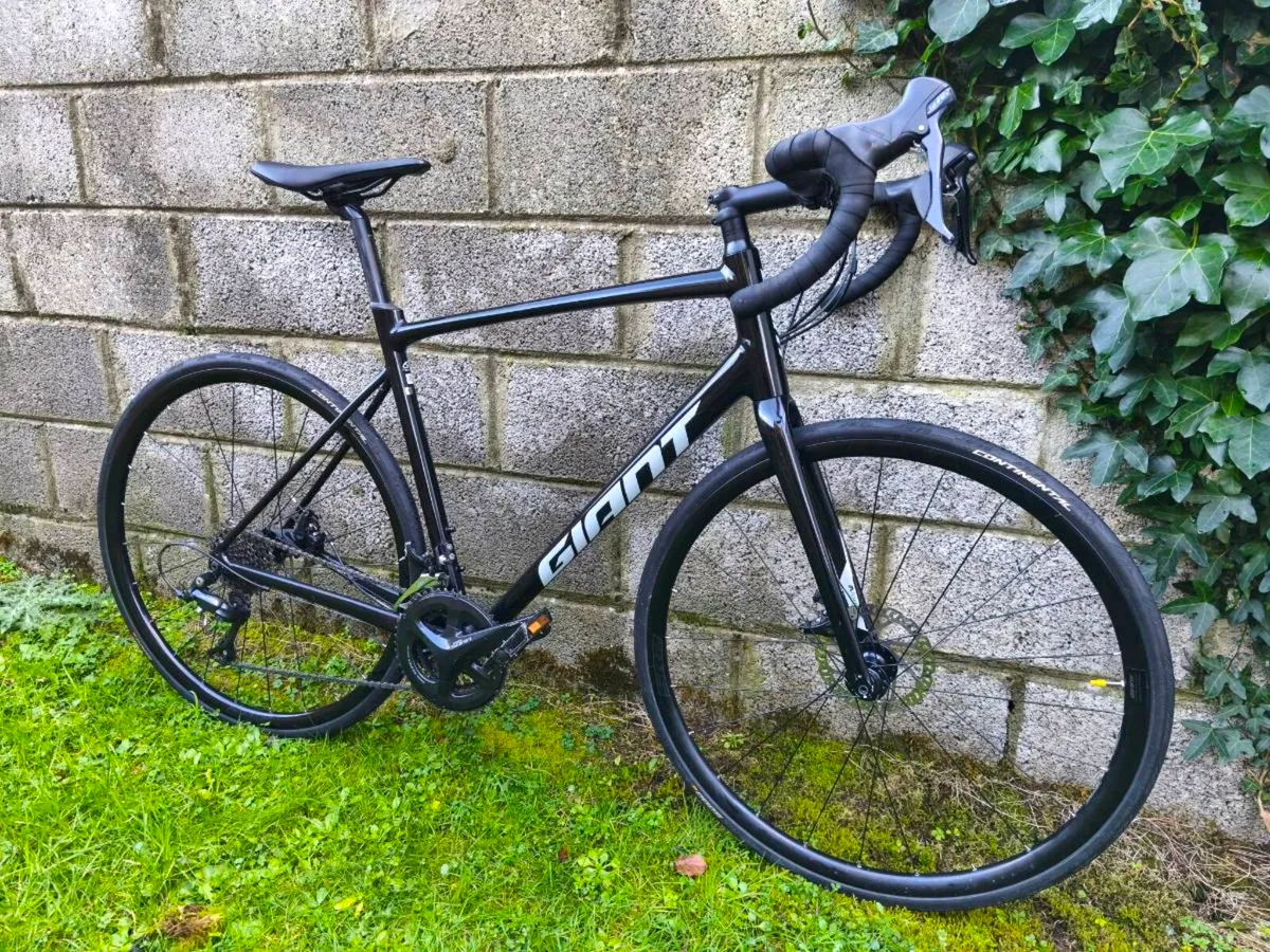 Giant Contend AR 3 disc size L - Image 1