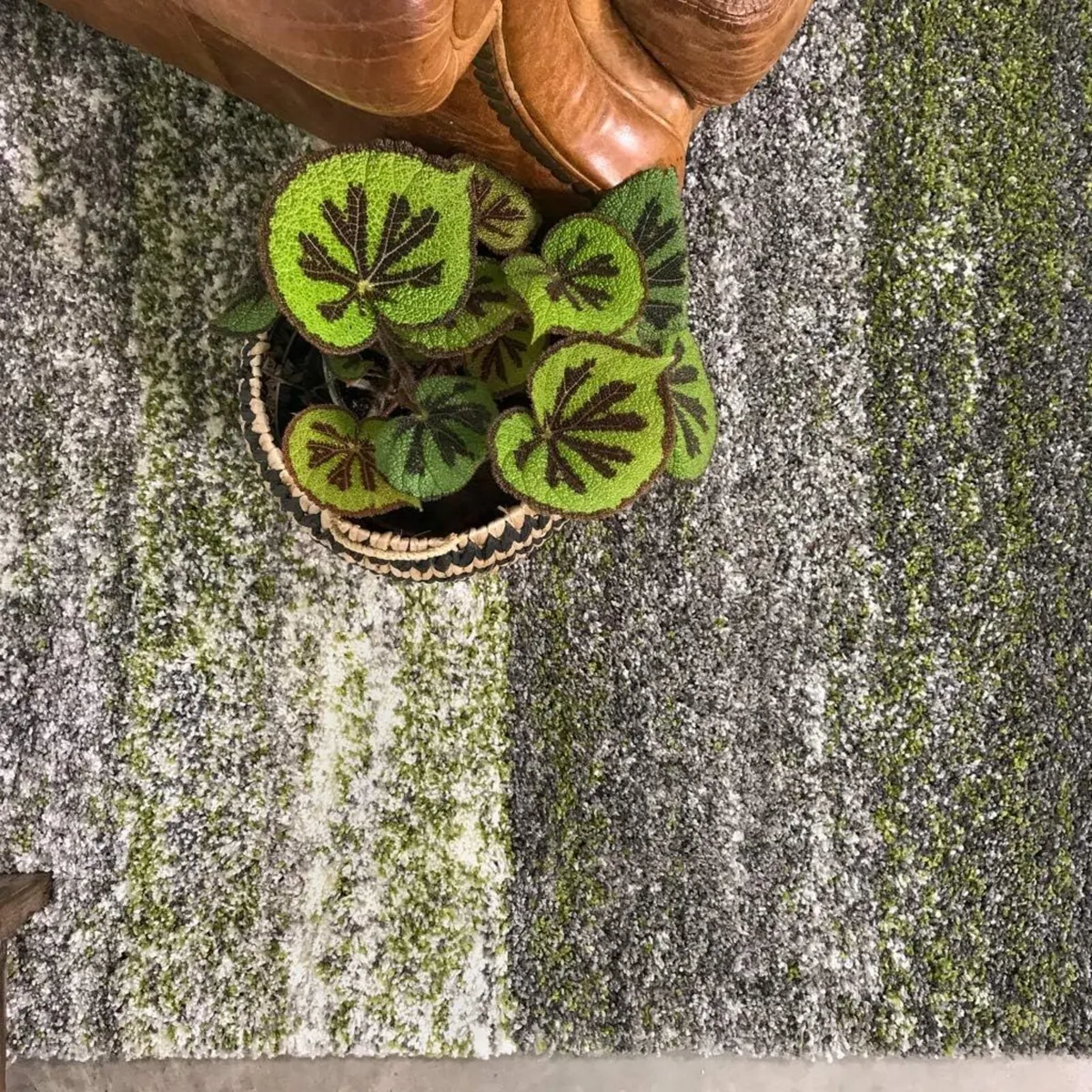 Dark Forest Green Striped Warm Thick Shaggy Shag - Image 2