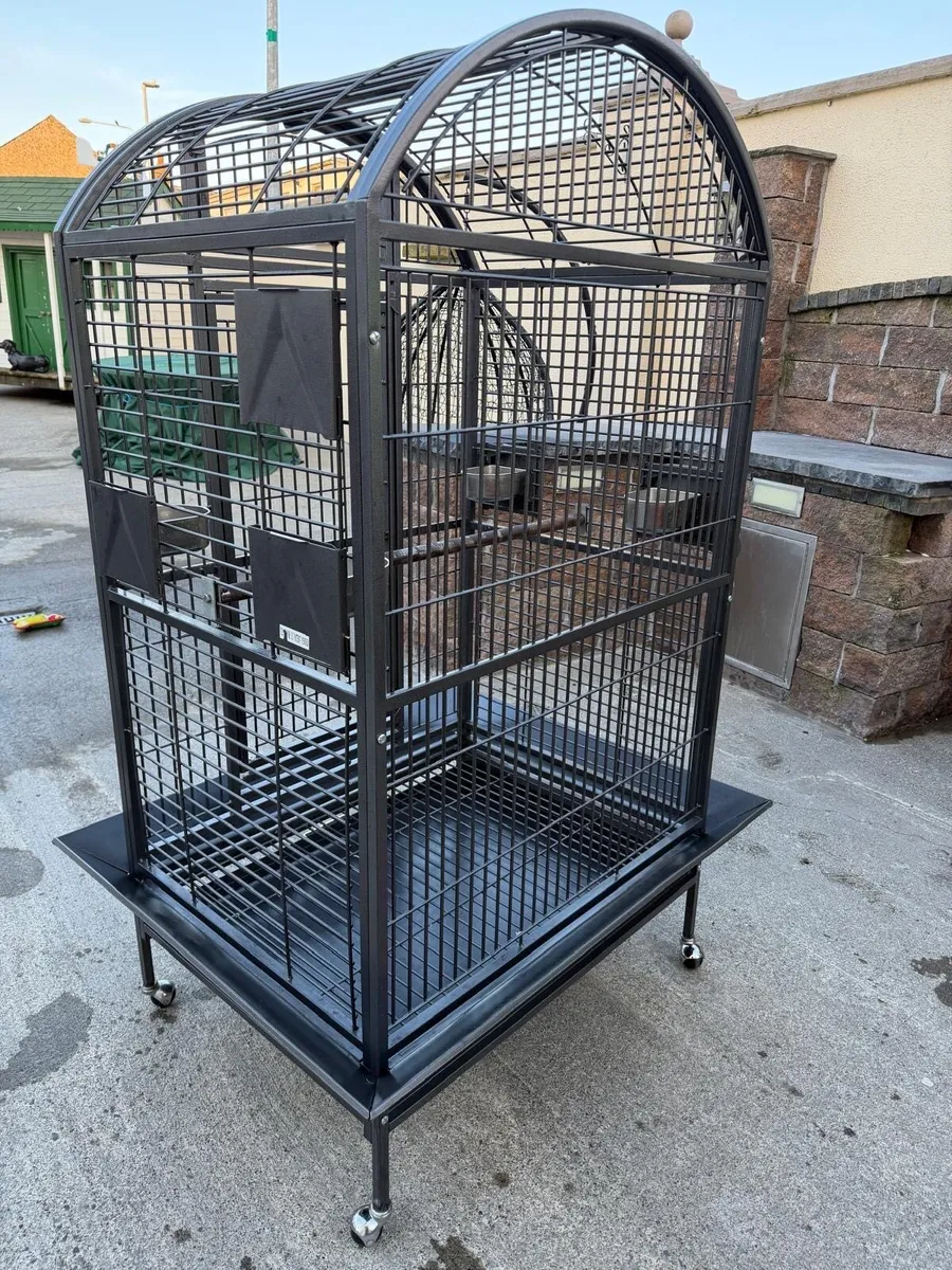 Parrot Cage - Image 3