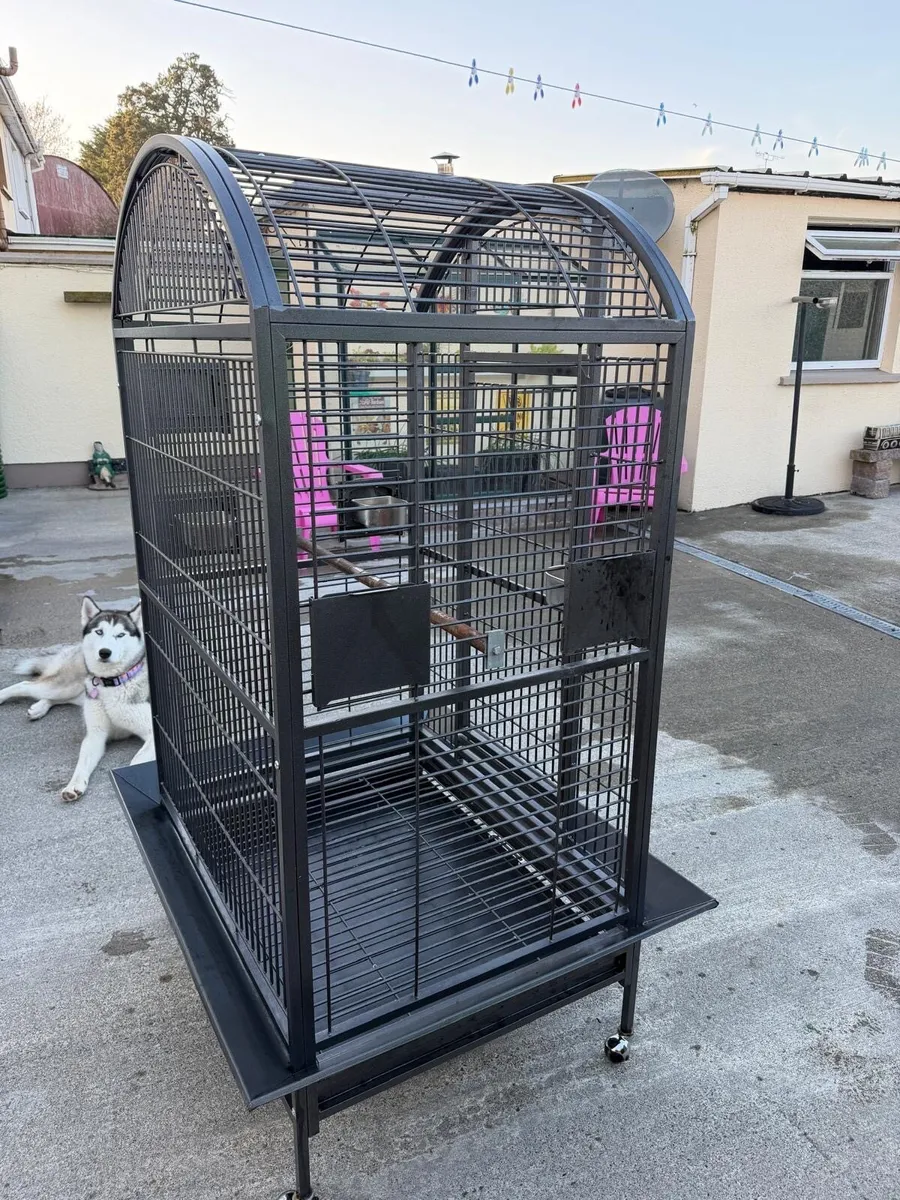 Parrot Cage - Image 4
