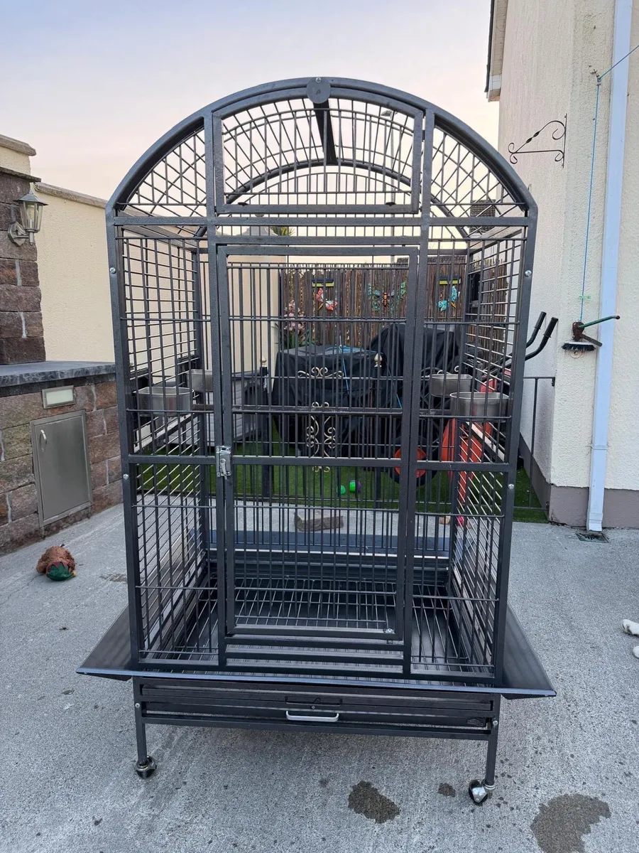 Parrot Cage - Image 1