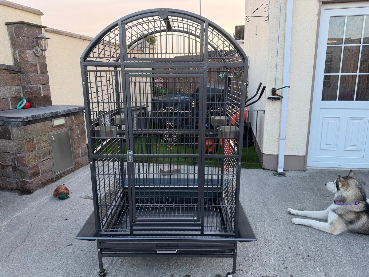 Parrot Cage - Image 2