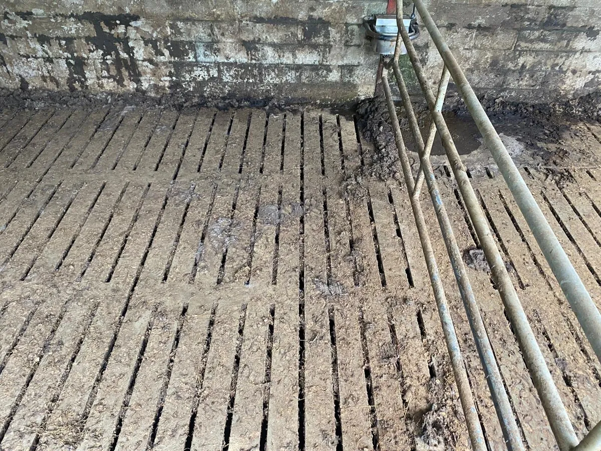 Labourer available-immediate start - Image 1