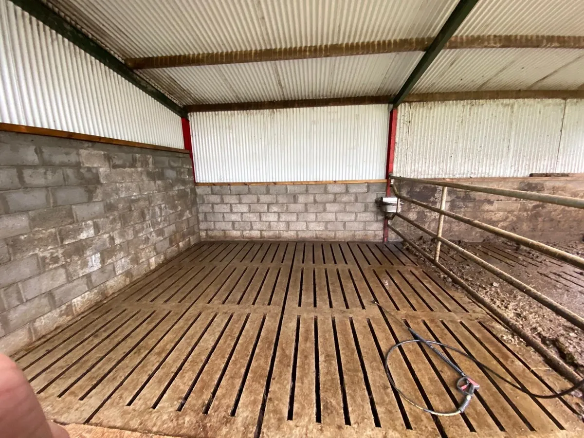 Labourer available-immediate start - Image 3