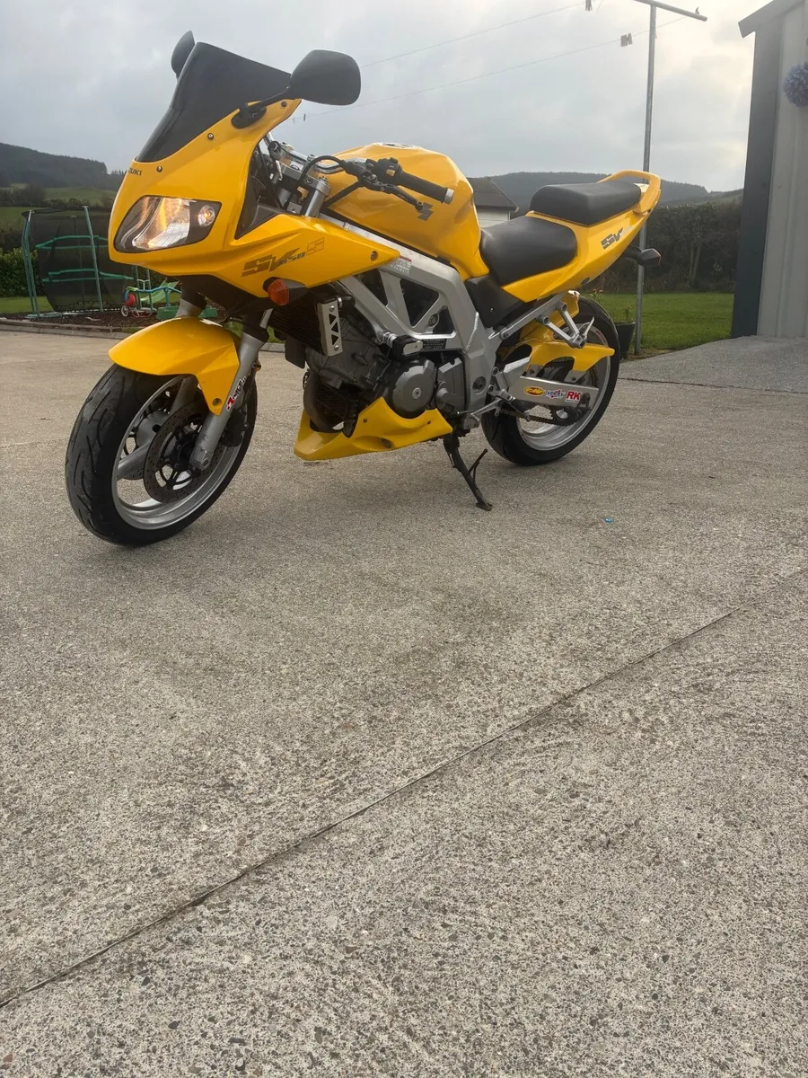 Suzuki SV 2006 - Image 3