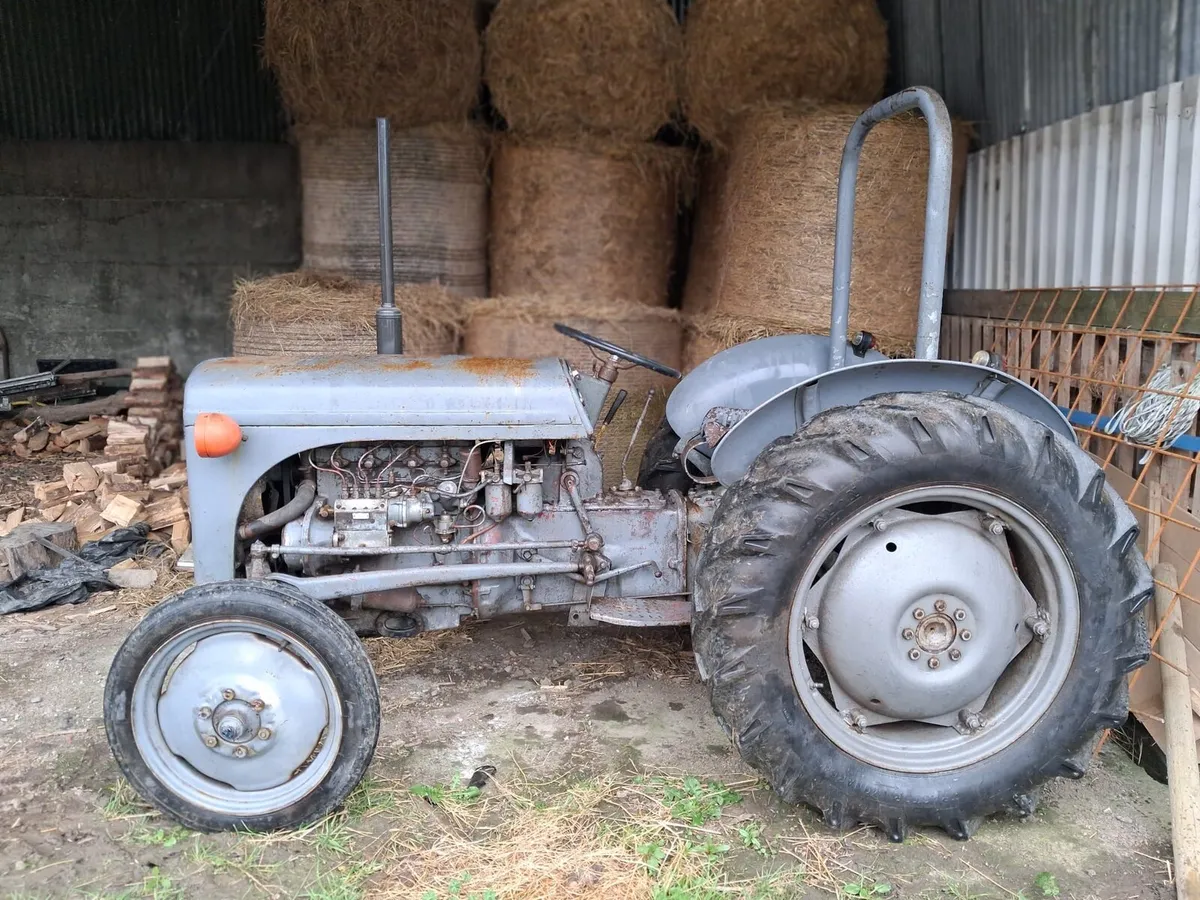 Massey 20 diesel - Image 2