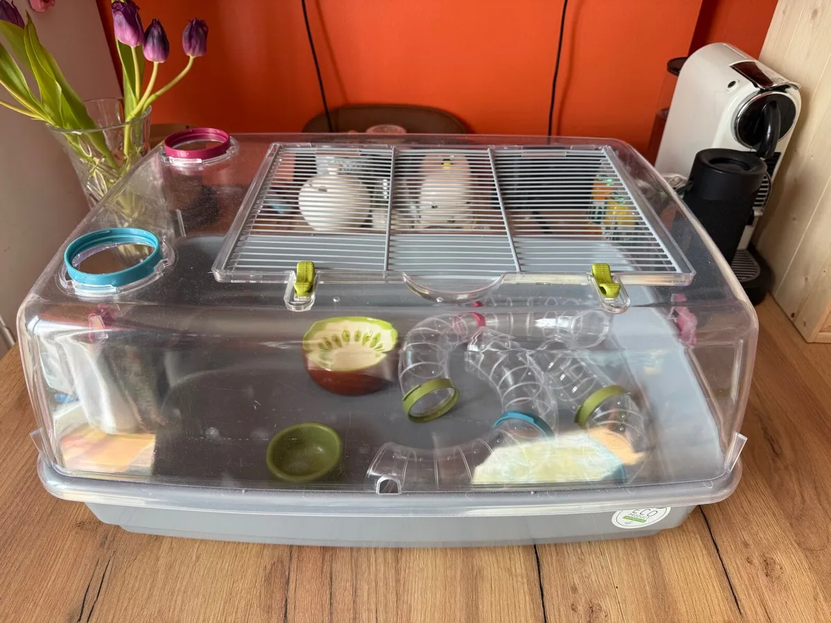 Hamster enclosure - Image 1
