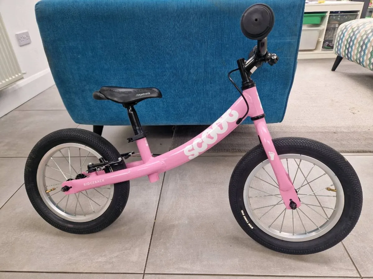 Ridgeback Scoot - Image 1