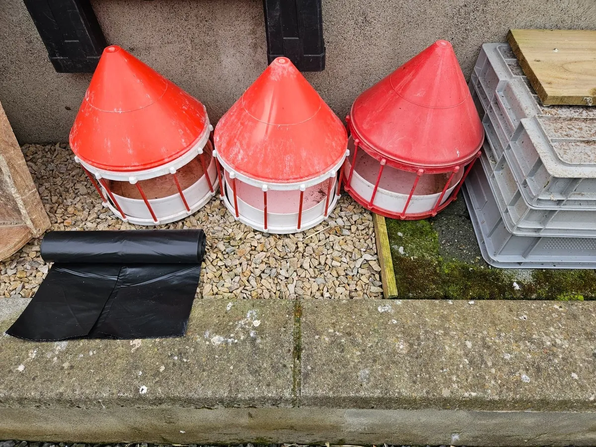 Pigeon materials - Image 3