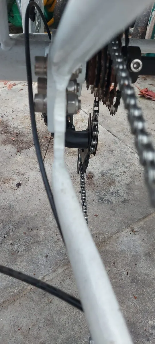 Adult Electric Trike, Electric 3 wheeler bike - Image 2