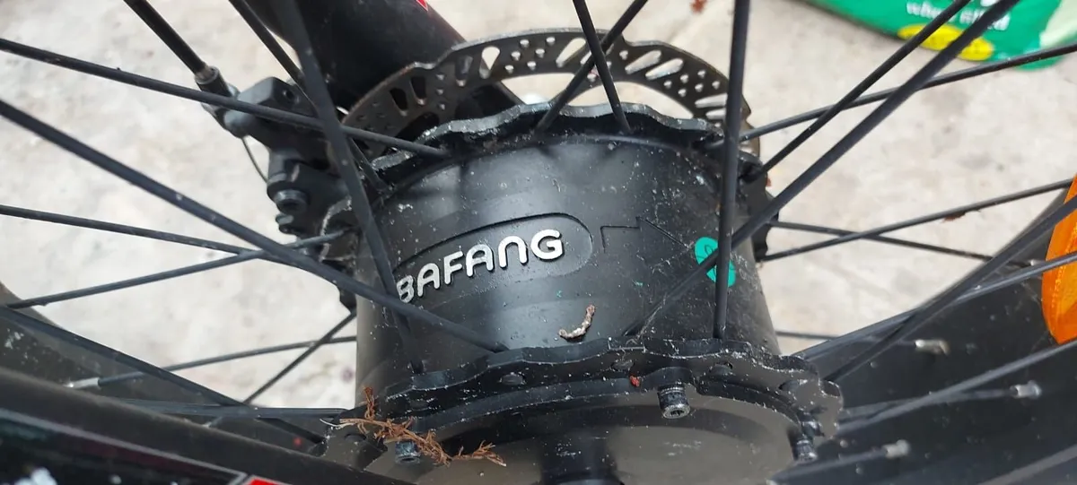 Adult Electric Trike, Electric 3 wheeler bike - Image 4