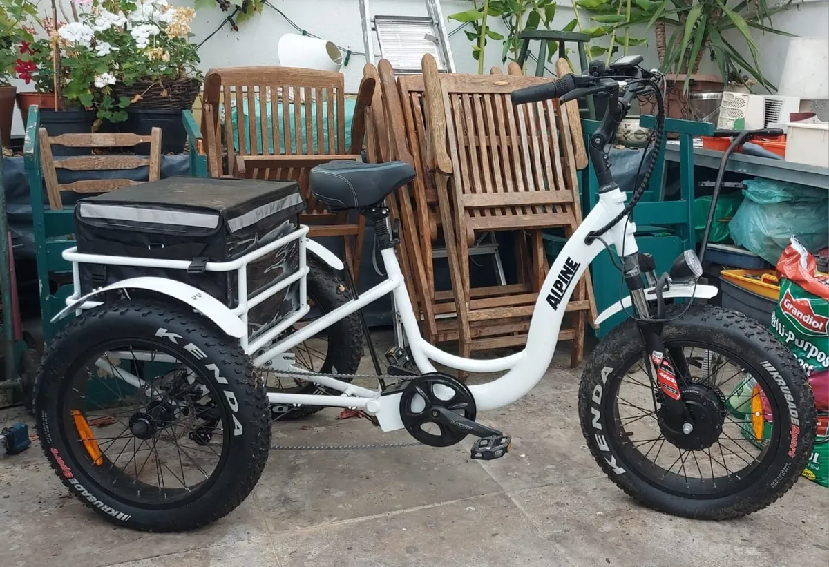Adult Electric Trike, Electric 3 wheeler bike - Image 1