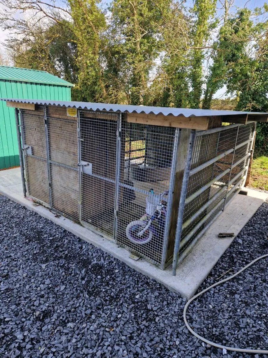 Dog pen - Image 1