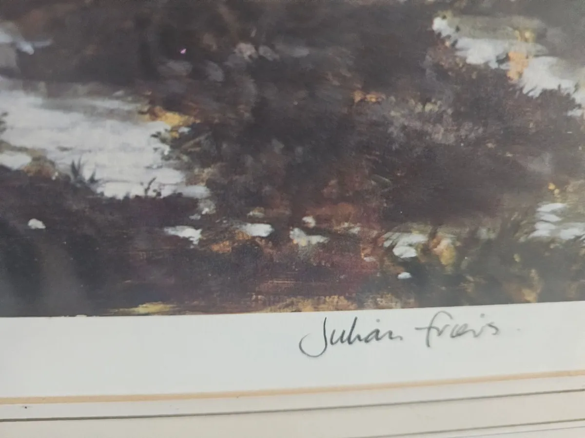 Red Grouse Print Limited Edition by Julian Friers - Image 2