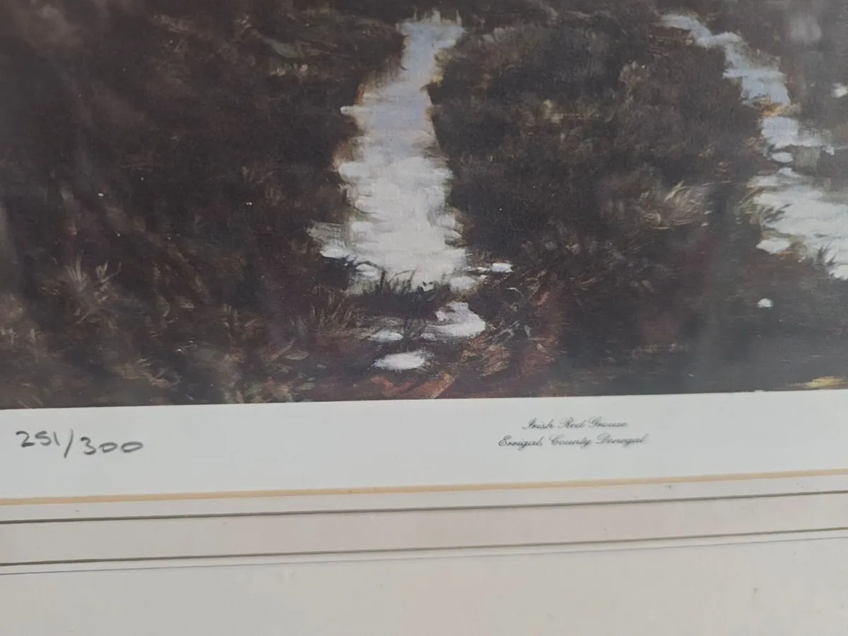 Red Grouse Print Limited Edition by Julian Friers - Image 3