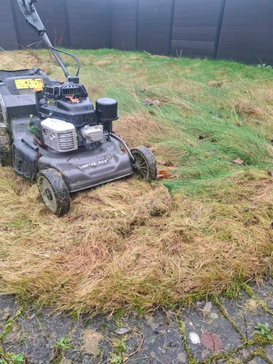 Landscape grass cutting - Image 3