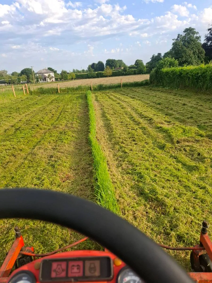 Landscape grass cutting - Image 4