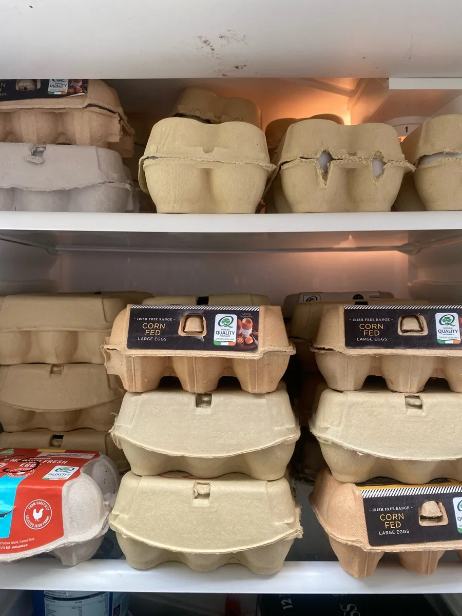 Duckeggs and laying ducks! - Image 4