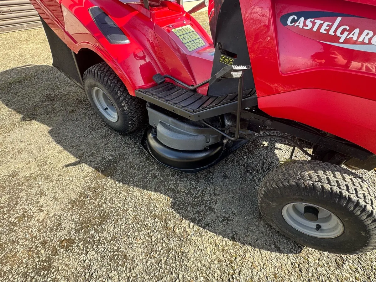 Castle garden 2019 - Image 4