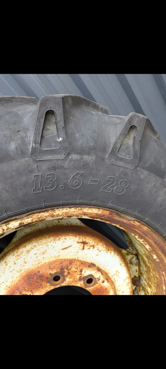 BKT 13.6 28 Ford Rims - Image 3