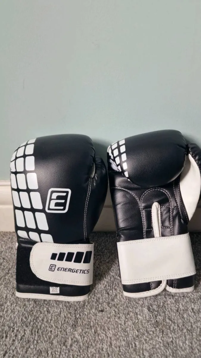 Energetics Boxing gloves + pads - Image 1