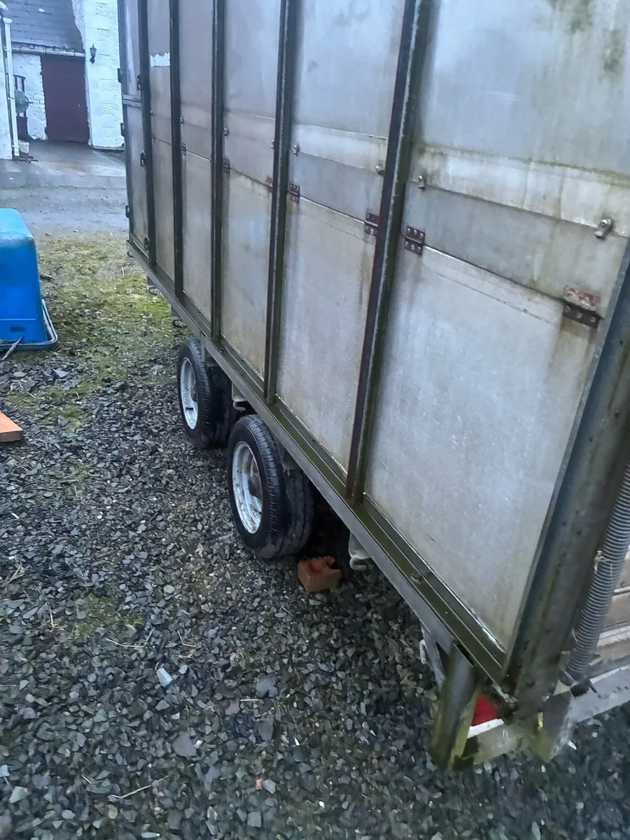 12-5 cattle trailer - Image 4