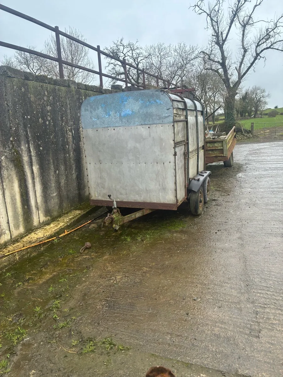 8-5 cattle trailer - Image 1