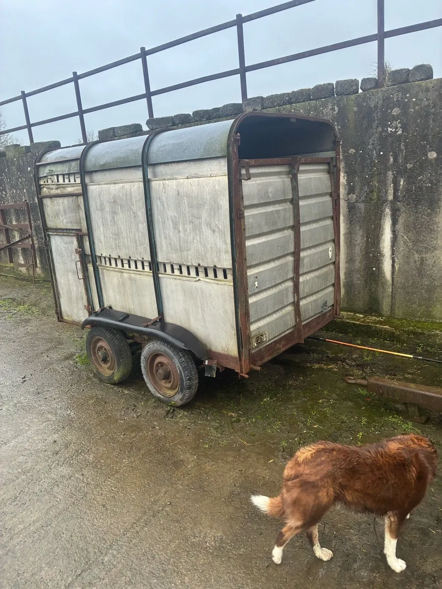 8-5 cattle trailer - Image 2