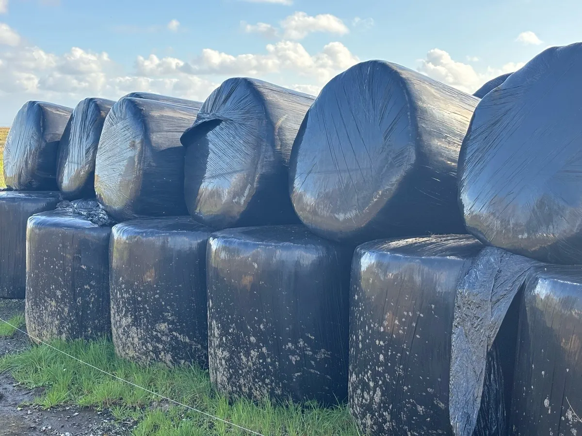 Bale Silage - Image 1