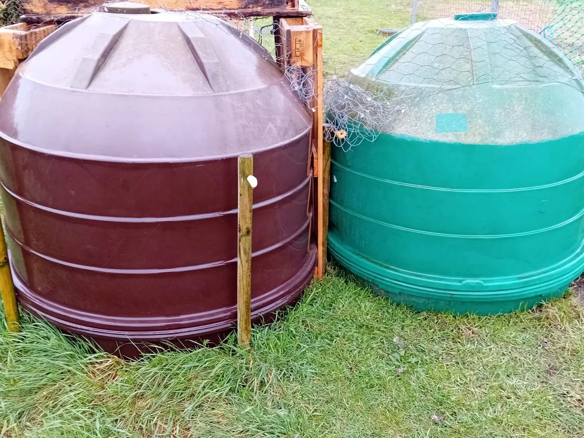 Geese (1 Gander 2 Geese) + Fertile Eggs & Houses - Image 4