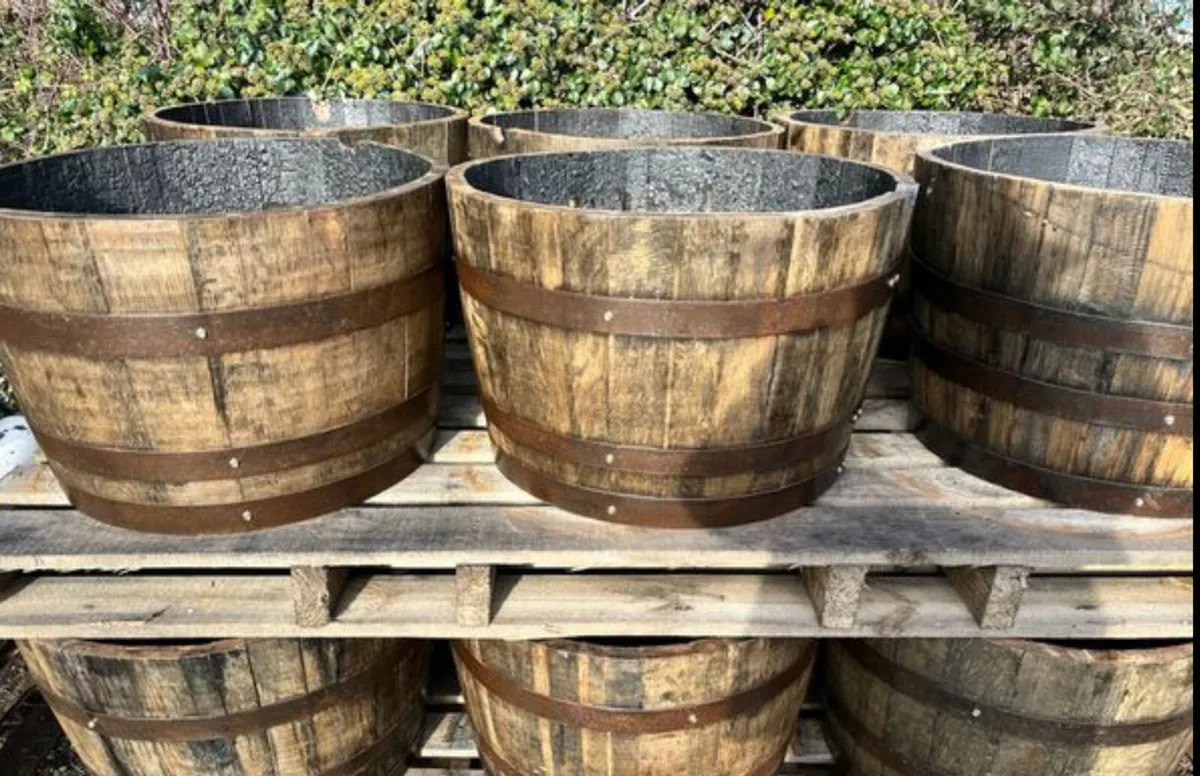 Oak barrels - Image 4
