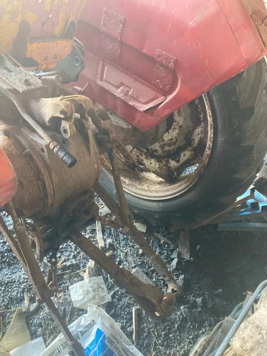 2 Massey Fergusons 165 - Image 2