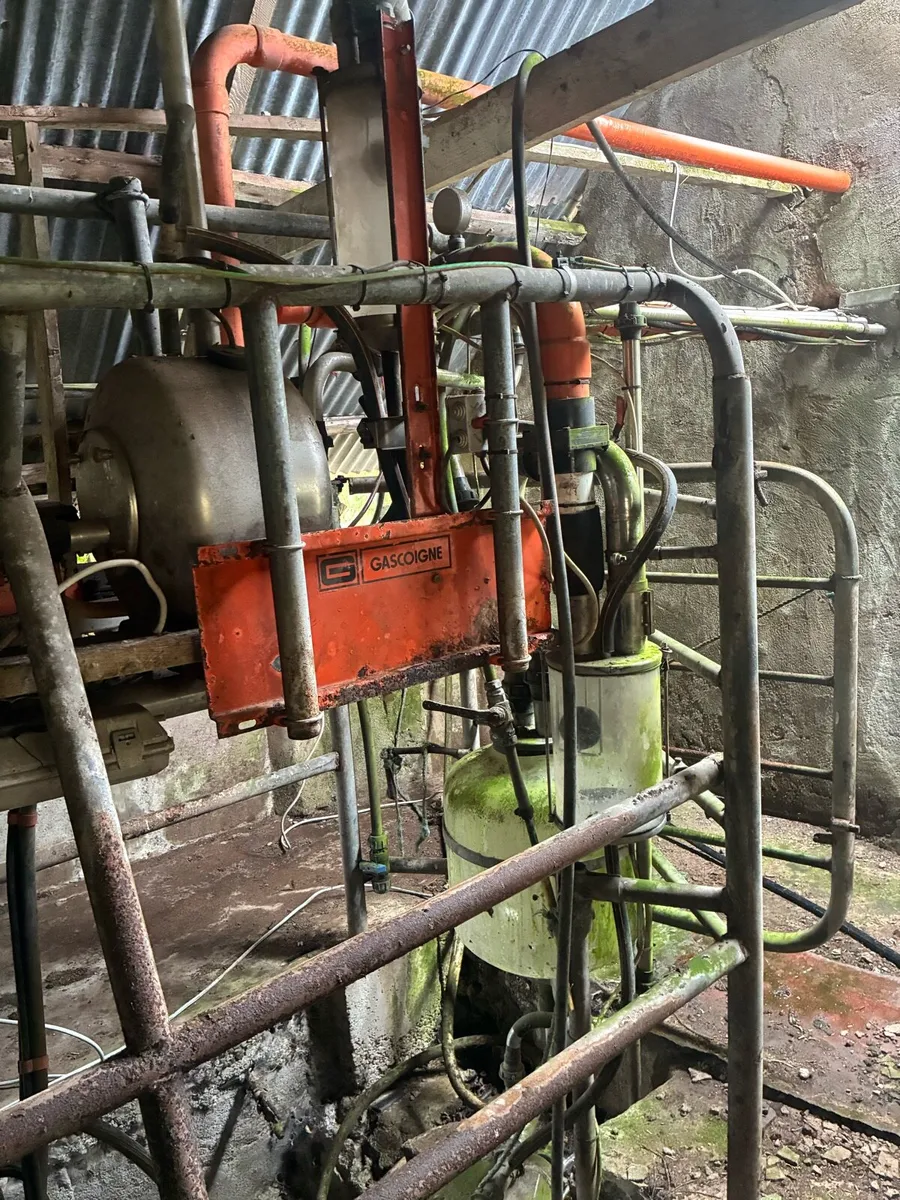 12 unit Gascoigne milking parlour - Image 1
