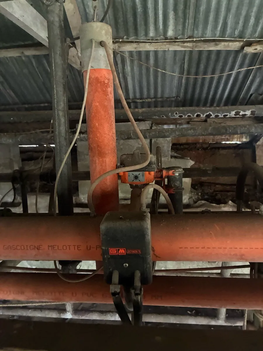 12 unit Gascoigne milking parlour - Image 4