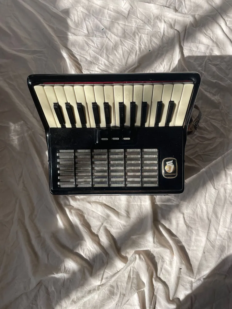 Accordion - Image 2